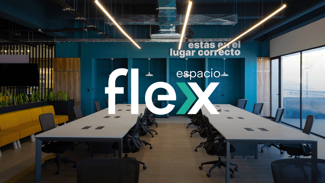 DEIRECTORIO_WEB_FLEX
