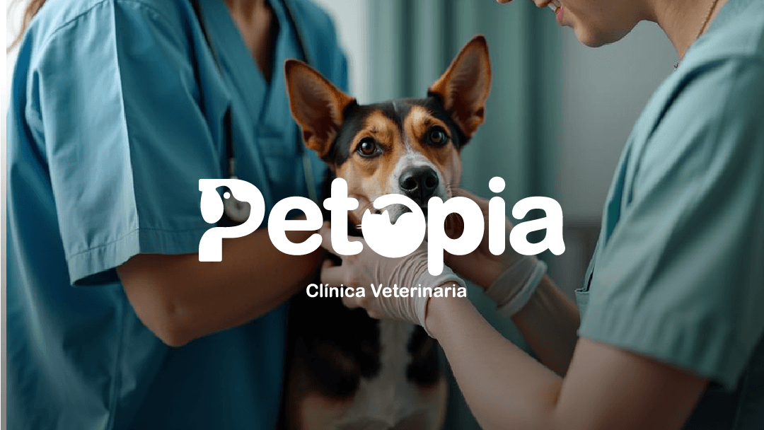 DIRECTORIO_WEB-PETOPIA